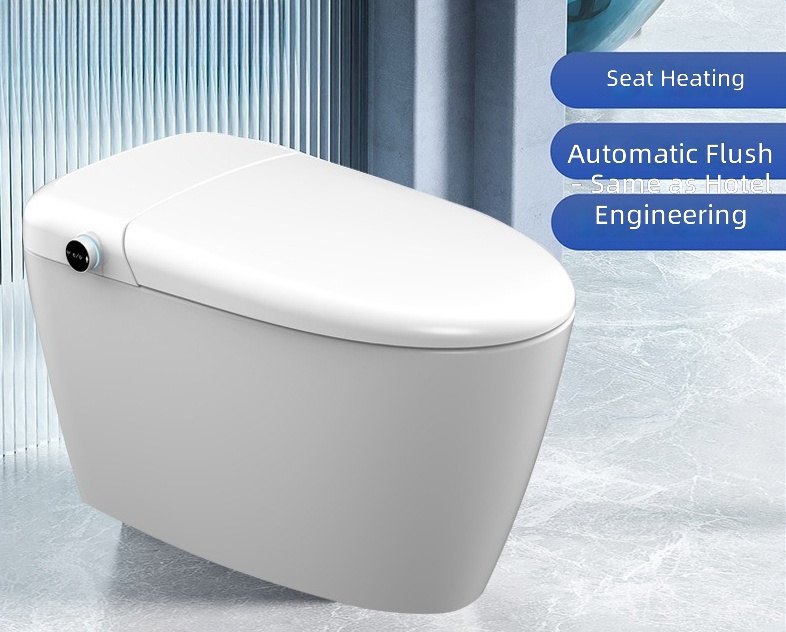 Heated Smart Toilet Seat, Auto - đánh giá và giá Smart Home