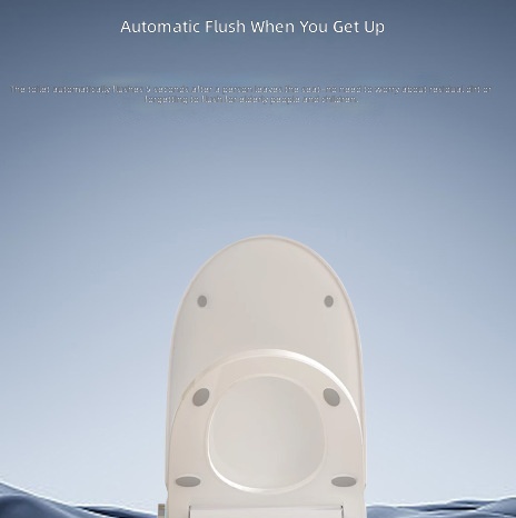 Heated Smart Toilet Seat, Auto - đánh giá và giá Smart Home